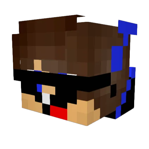 Hexagonal666 Minecraft avatar head, 3D render