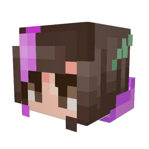 HexagonalVoid Minecraft avatar head, 3D render