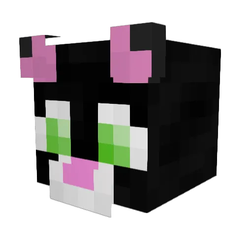 Hexagonalfish02 Minecraft avatar head, 3D render