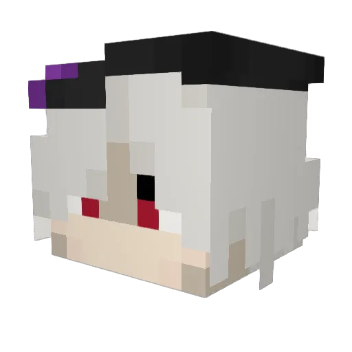 Hexagoniac Minecraft avatar head, 3D render