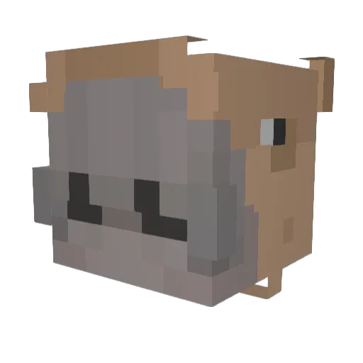 Hexapusmaster Minecraft avatar head, 3D render