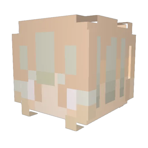 Hexc_Lence Minecraft avatar head, 3D render