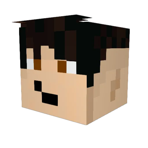 Hexctic Minecraft avatar head, 3D render