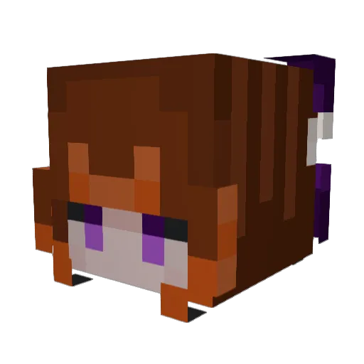 Hexe1204 Minecraft avatar head, 3D render