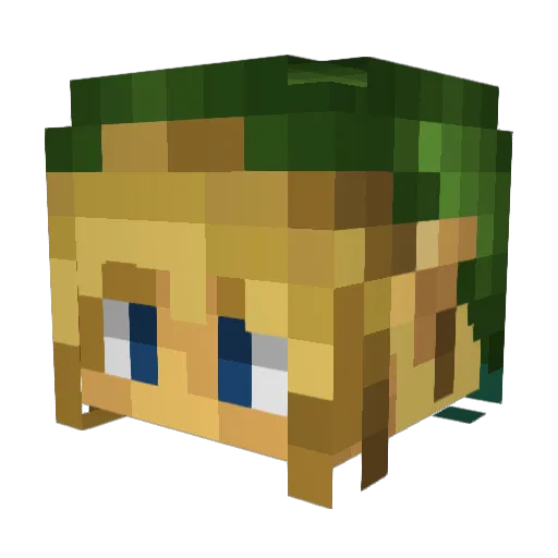 Hexecution Minecraft avatar head, 3D render