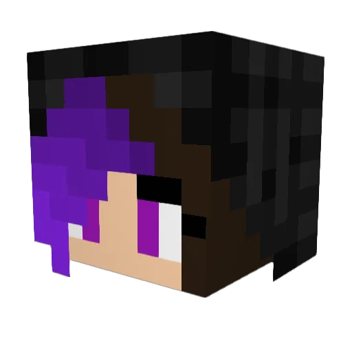 HexedJinx Minecraft avatar head, 3D render