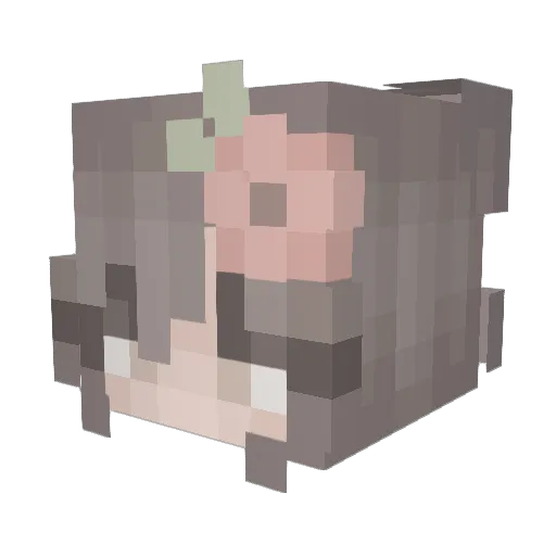Hexeri Minecraft avatar head, 3D render