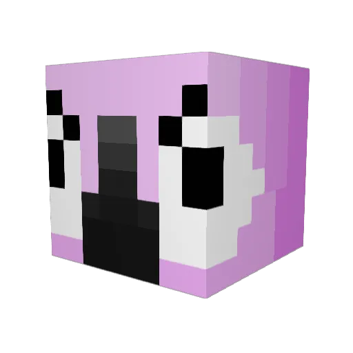 Hexic911 Minecraft avatar head, 3D render