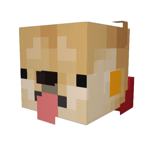 Hexotote Minecraft avatar head, 3D render