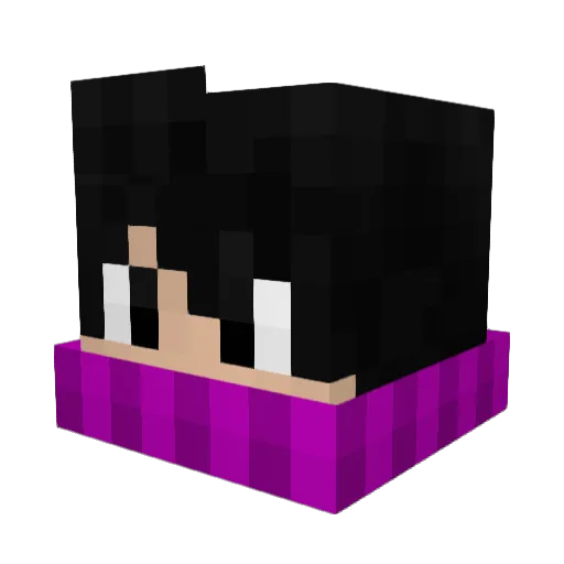 Hexxel3 Minecraft avatar head, 3D render