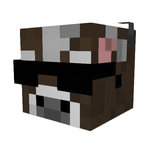 Hexxo__ Minecraft avatar head, 3D render