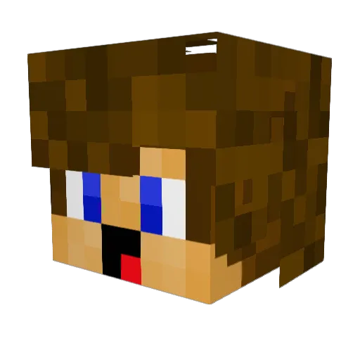 HeyAnantRaj123 Minecraft avatar head, 3D render
