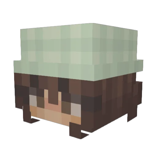 HeyAppel Minecraft avatar head, 3D render