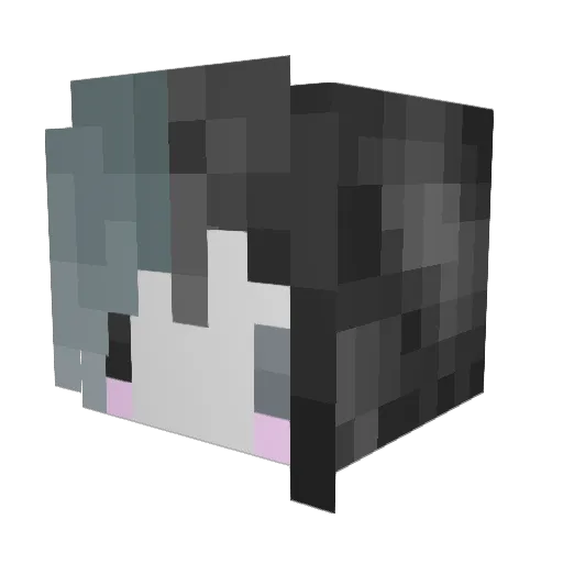 HeyBachi Minecraft avatar head, 3D render
