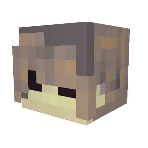 HeyBrady Minecraft avatar head, 3D render