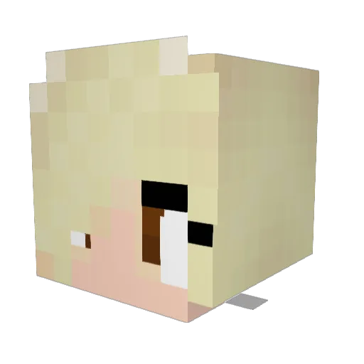 HeyDareNeighbor Minecraft avatar head, 3D render