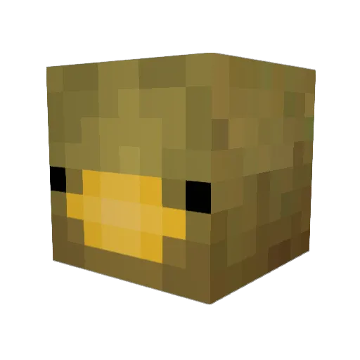 HeyImDuckGarbage Minecraft avatar head, 3D render