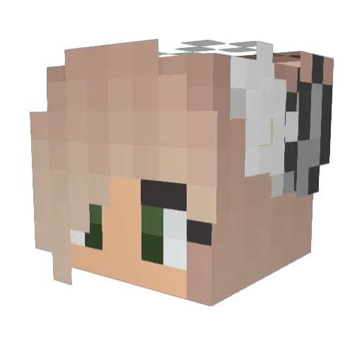 HeyImGrump1321 Minecraft avatar head, 3D render