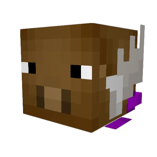 HeyImMoose Minecraft avatar head, 3D render