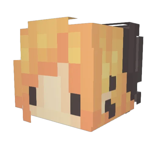 HeyImTaylorr Minecraft avatar head, 3D render