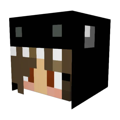 HeyImZebe Minecraft avatar head, 3D render