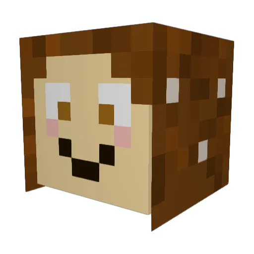 HeyItsMichy Minecraft avatar head, 3D render