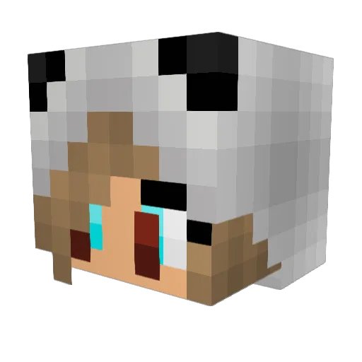 HeyItsNicole_ Minecraft avatar head, 3D render