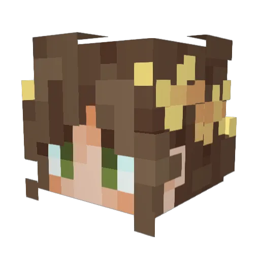 HeyItsRae Minecraft avatar head, 3D render