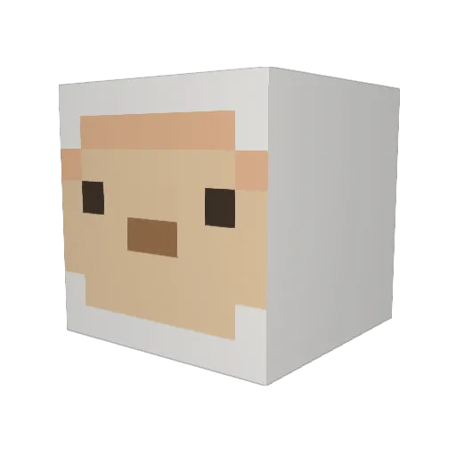 HeyItsRico Minecraft avatar head, 3D render