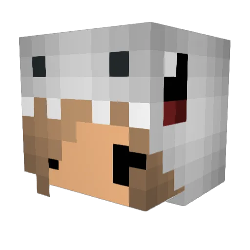 HeyItsSam Minecraft avatar head, 3D render