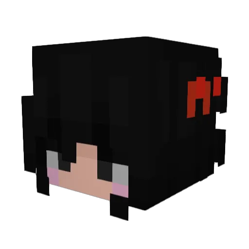 HeyItsShen Minecraft avatar head, 3D render