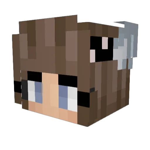 HeyItzDody Minecraft avatar head, 3D render