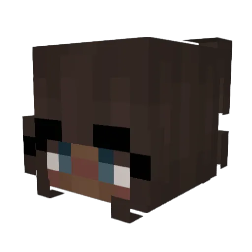 HeyItzHaley Minecraft avatar head, 3D render
