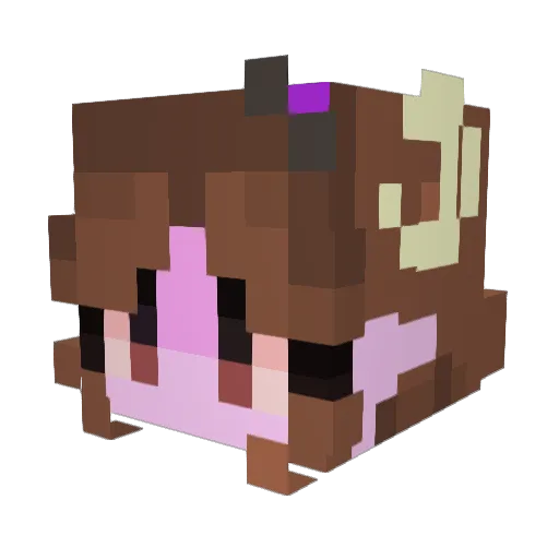 HeyItzSock101 Minecraft avatar head, 3D render
