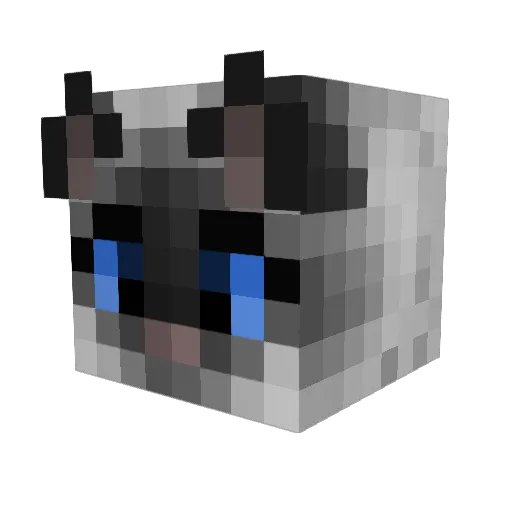 HeyJennii Minecraft avatar head, 3D render