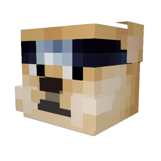 HeyMikeys Minecraft avatar head, 3D render
