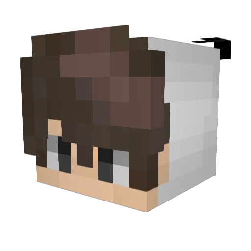 HeyPandahh Minecraft avatar head, 3D render