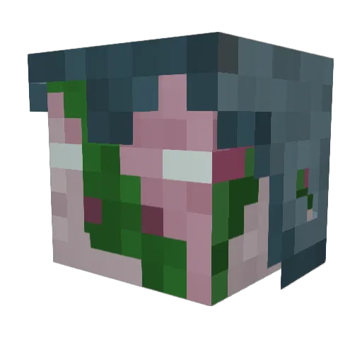 HeyPiggyy Minecraft avatar head, 3D render