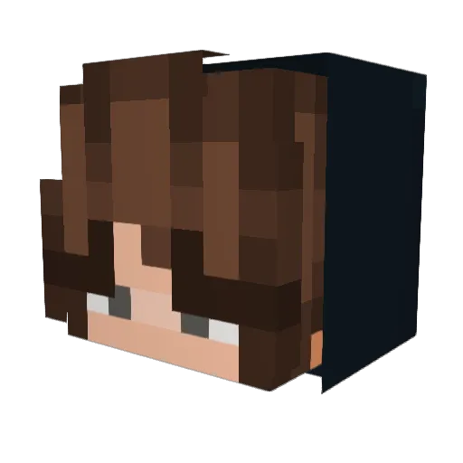 HeyRandoms08 Minecraft avatar head, 3D render