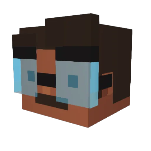 HeyWillbee Minecraft avatar head, 3D render
