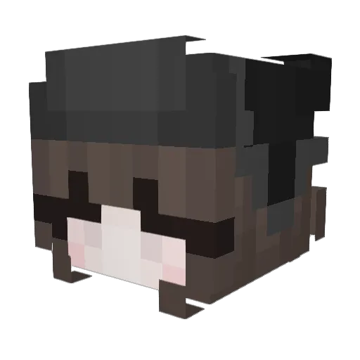 Hey_Itz_Epic Minecraft avatar head, 3D render