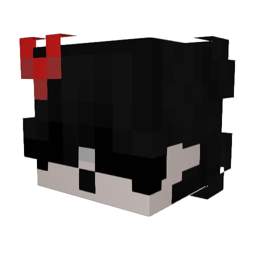 Hey_Mocha Minecraft avatar head, 3D render