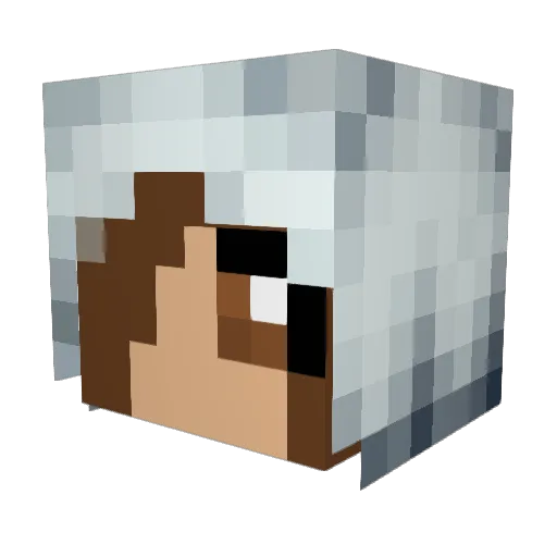 Heyalexa Minecraft avatar head, 3D render