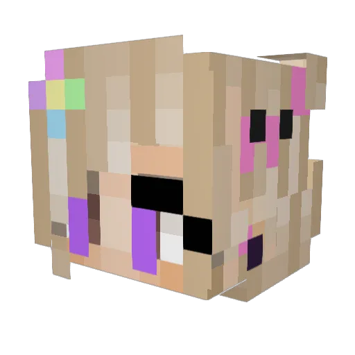 Heyden9 Minecraft avatar head, 3D render