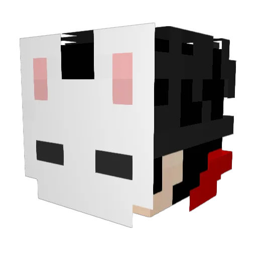 Heyder6 Minecraft avatar head, 3D render