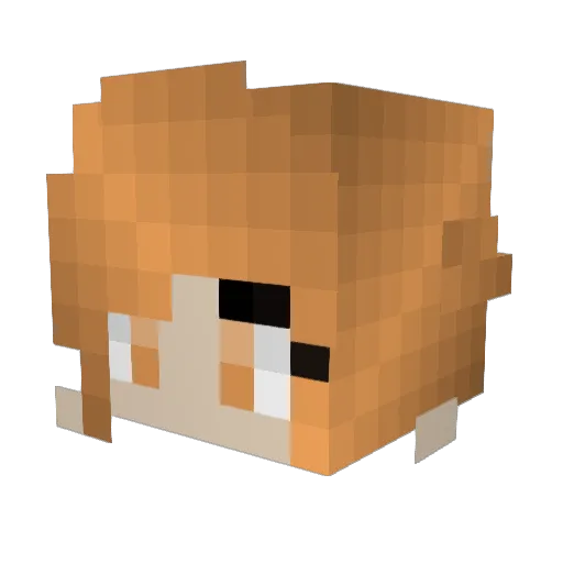 Heyderlittlebudy Minecraft avatar head, 3D render