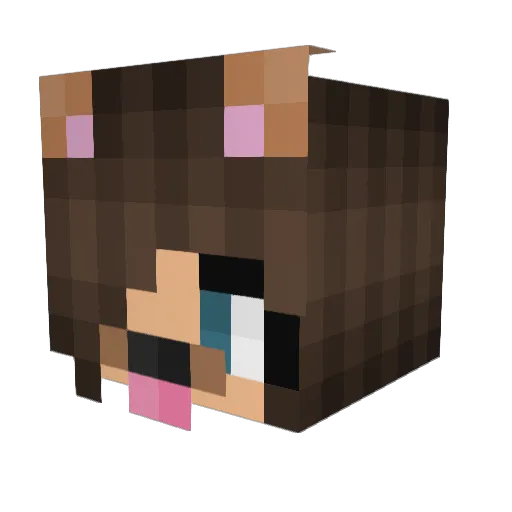 Heyimsophxx Minecraft avatar head, 3D render