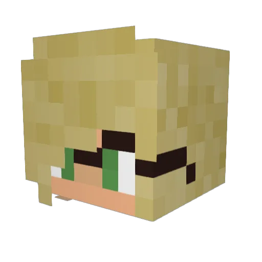 Minecraft-Avatar von Heyitslaura: Kopf als 3D-Render