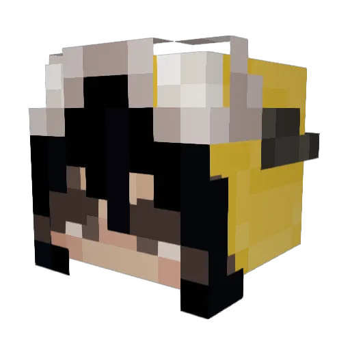 Heyitsme213 Minecraft avatar head, 3D render