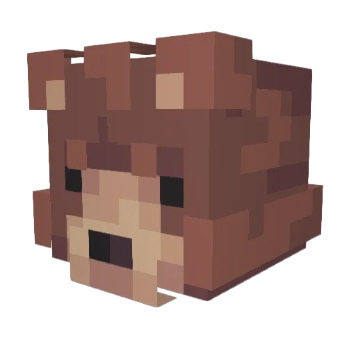 Heyjimmy Minecraft avatar head, 3D render
